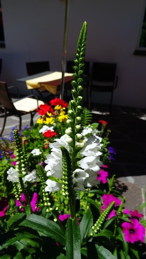 פיה Hotel & Appartements Perwanger מראה חיצוני תמונה